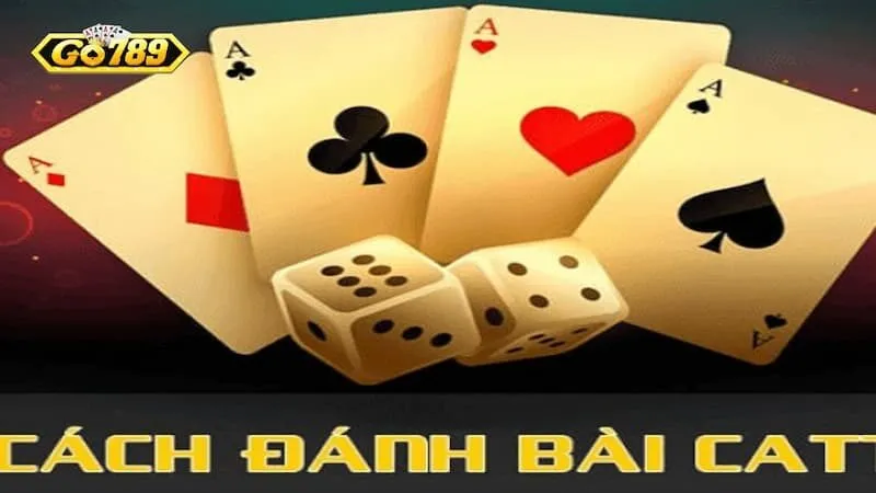 Khám Phá Catte GO789 Với Cách Chơi Dễ Hiểu Cho Người Mới 2 Tìm hiểu tính năng đặc biệt trong Catte Go789